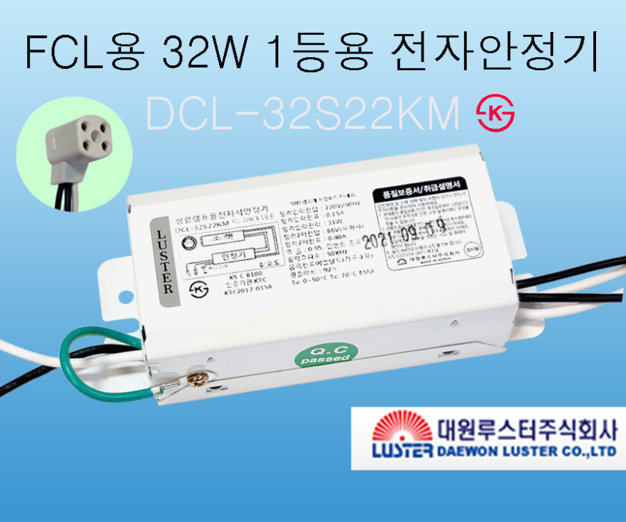 파랭이FCL32.JPG